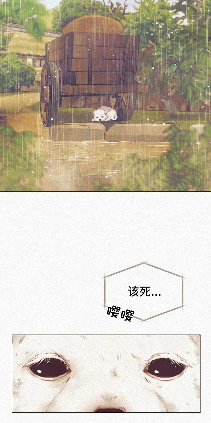 第3章：惩罚