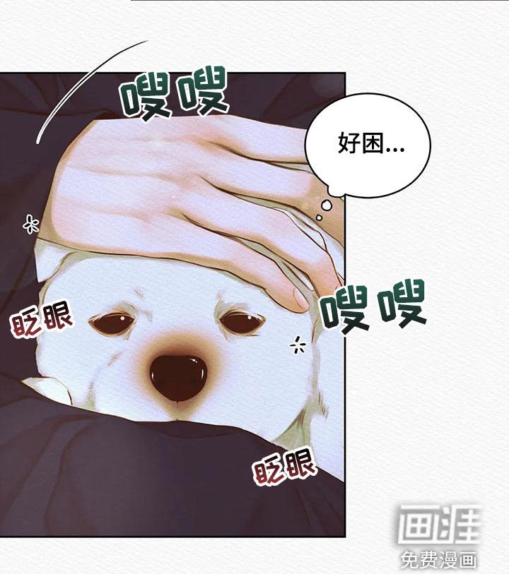 第35章：取名