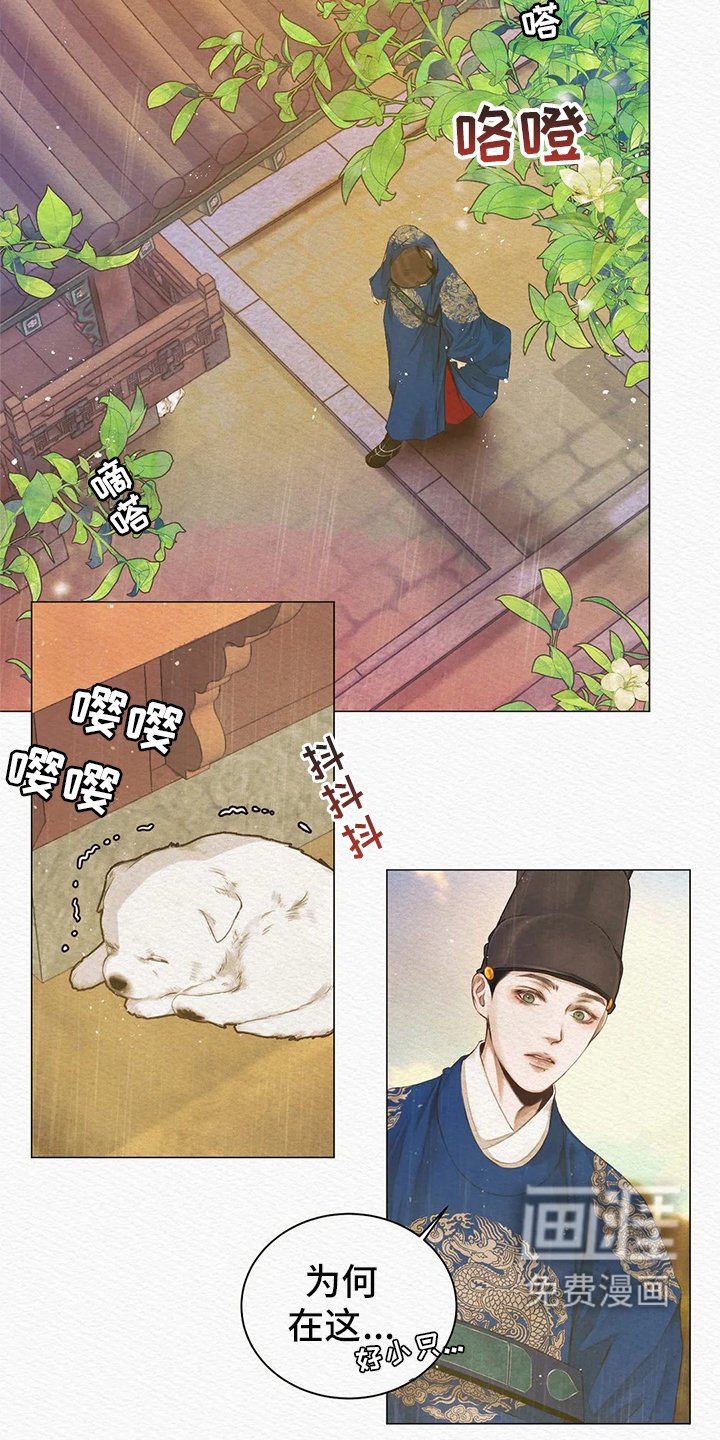 第5章：传闻