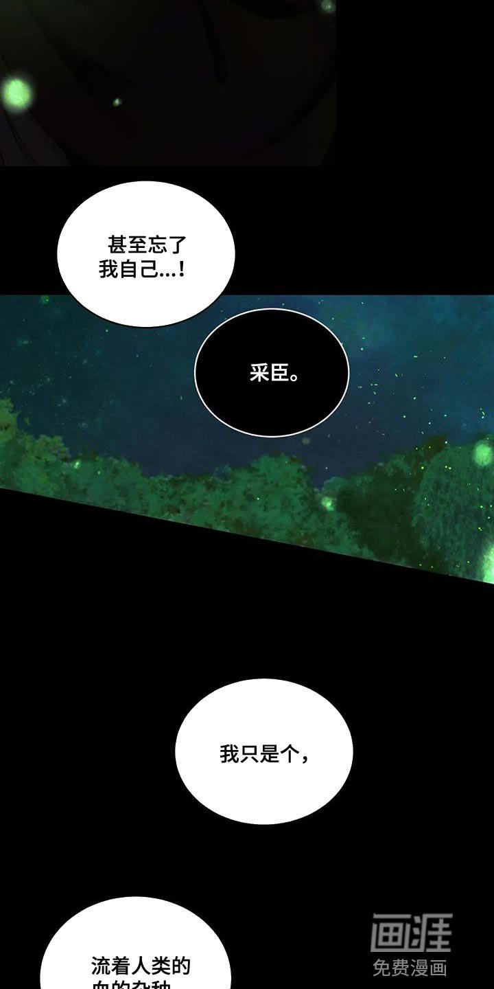 第54章：【番外】像哥哥们一样