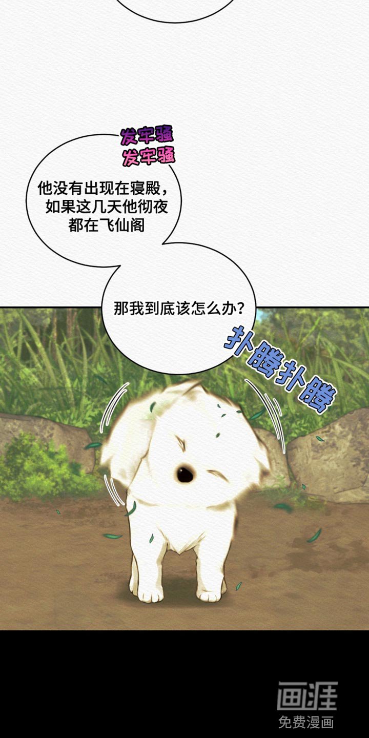 第64章：【第二季】去找他
