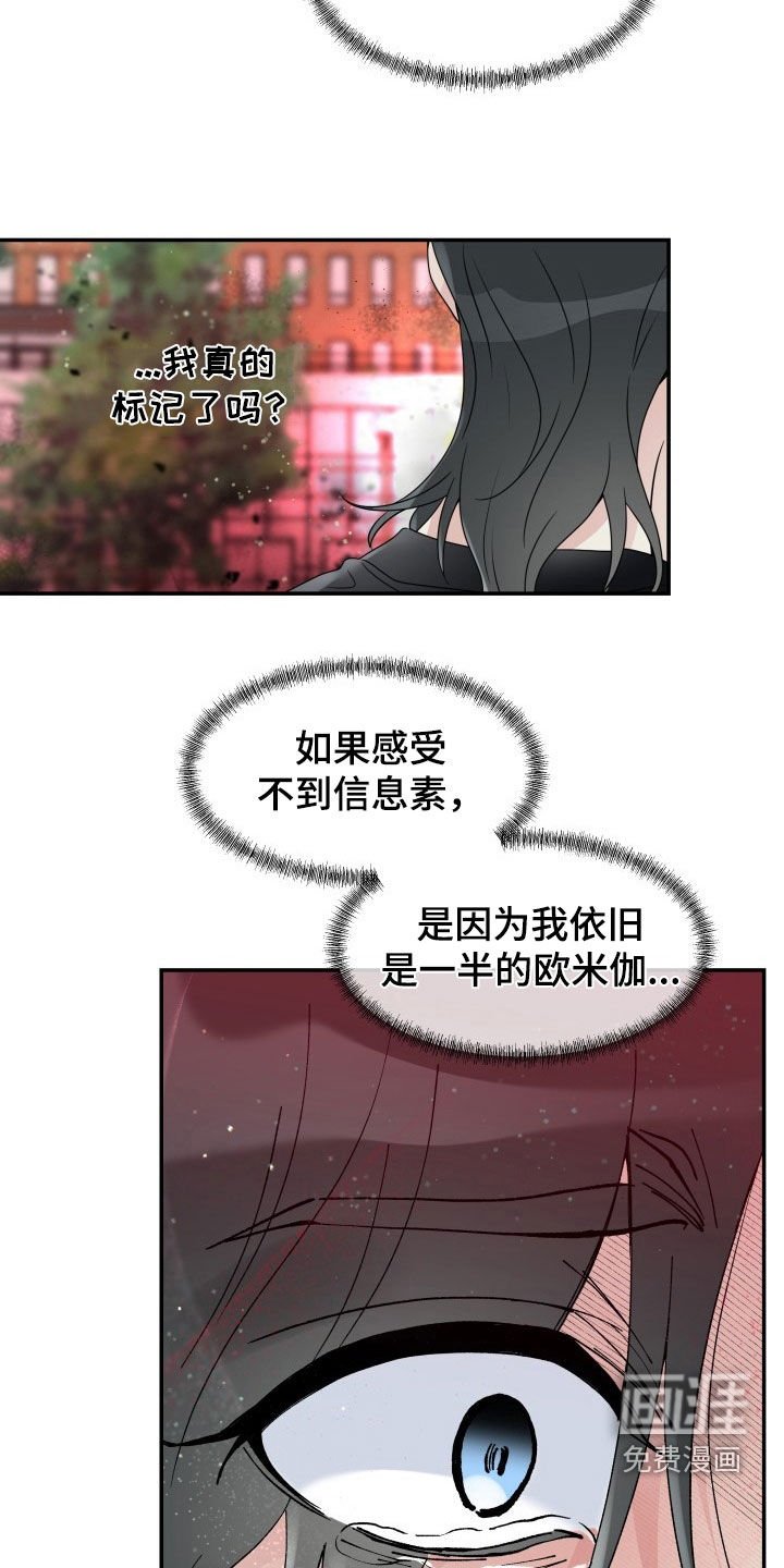 第27章：先回家