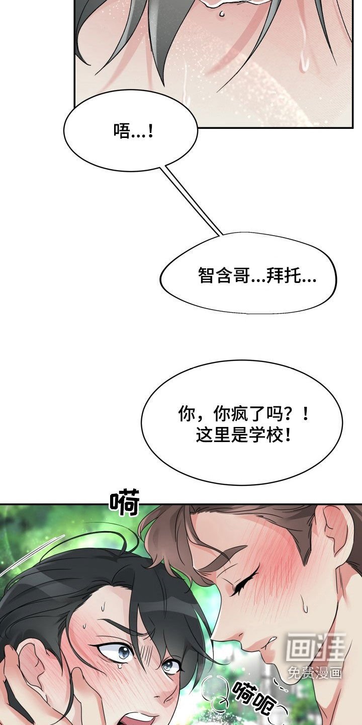 第27章：先回家