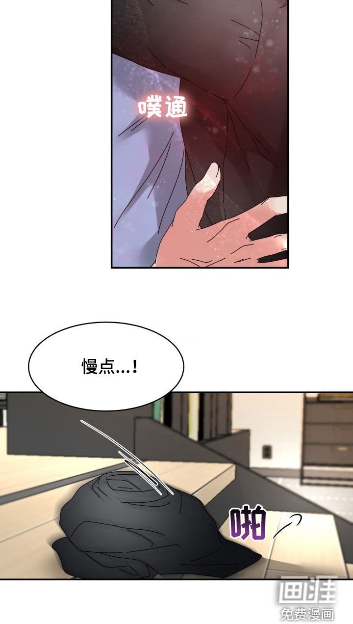 第27章：先回家