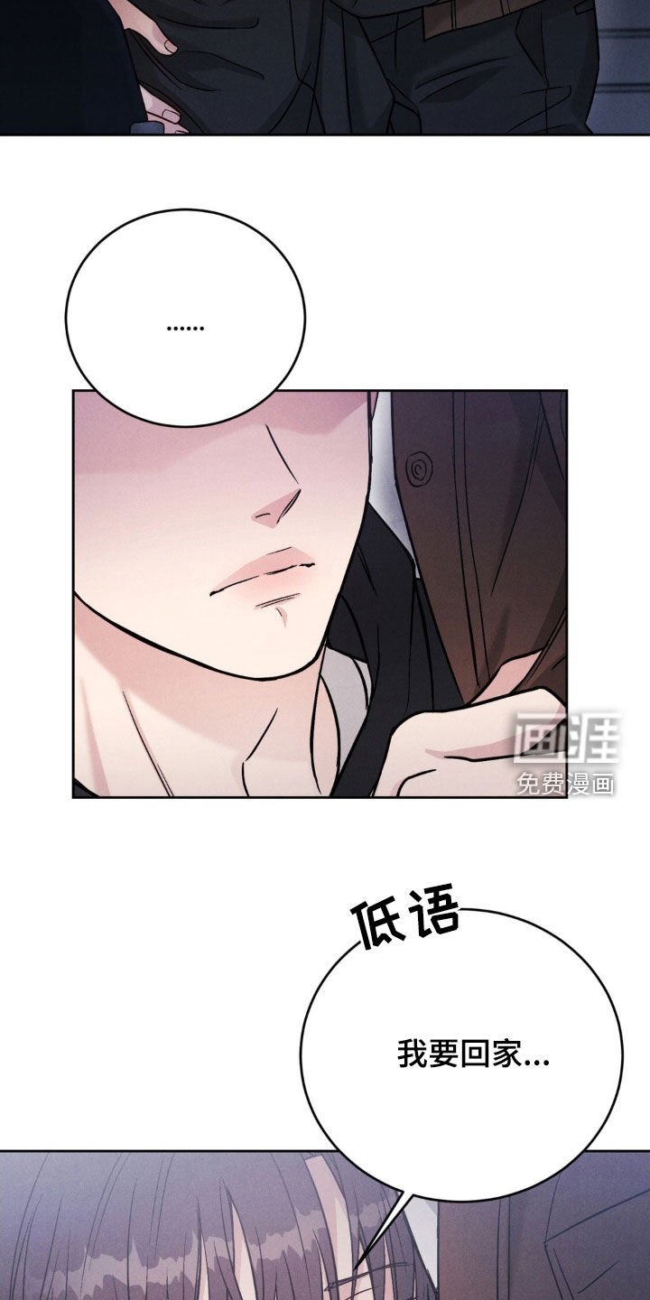 第28章：我要回家
