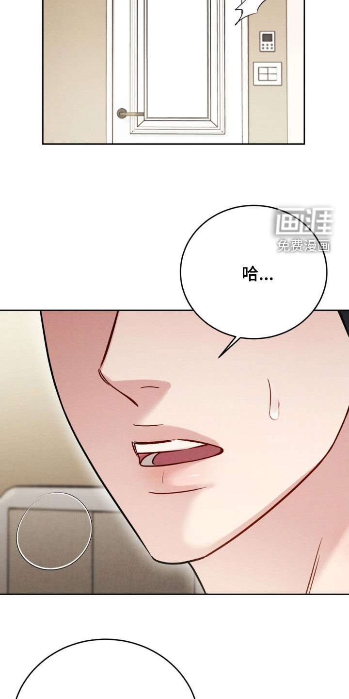 第44章：【第二季】不记得了