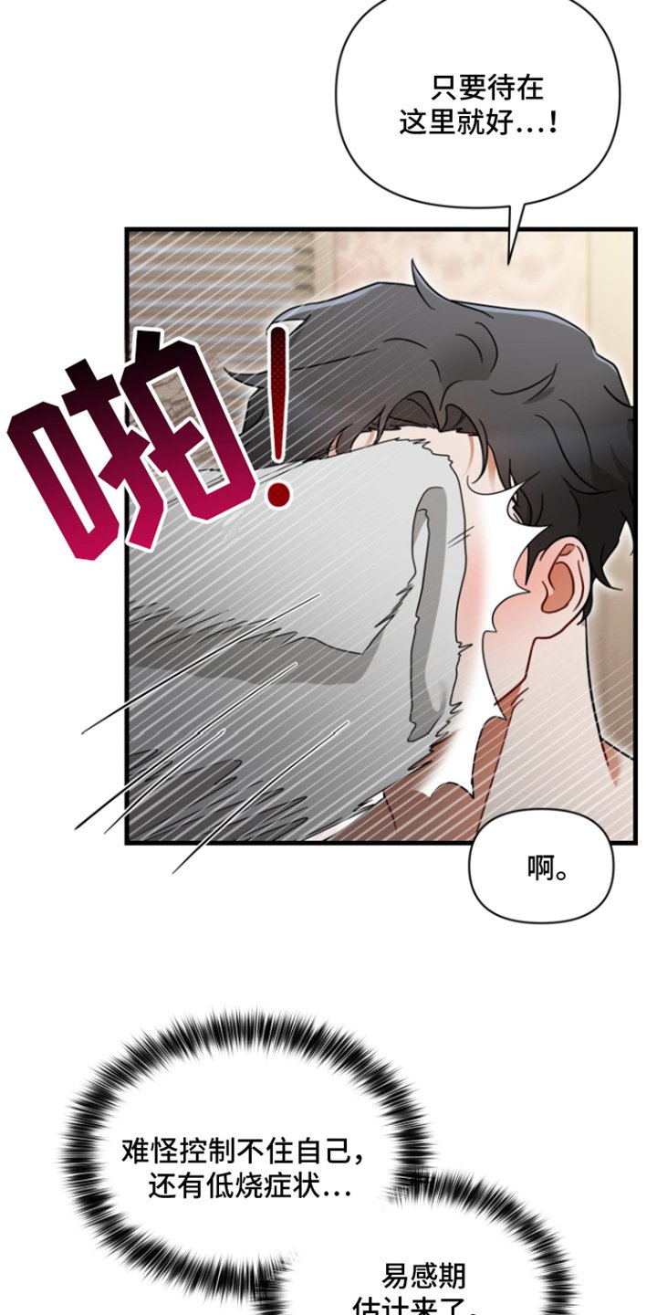 第2章：易感期