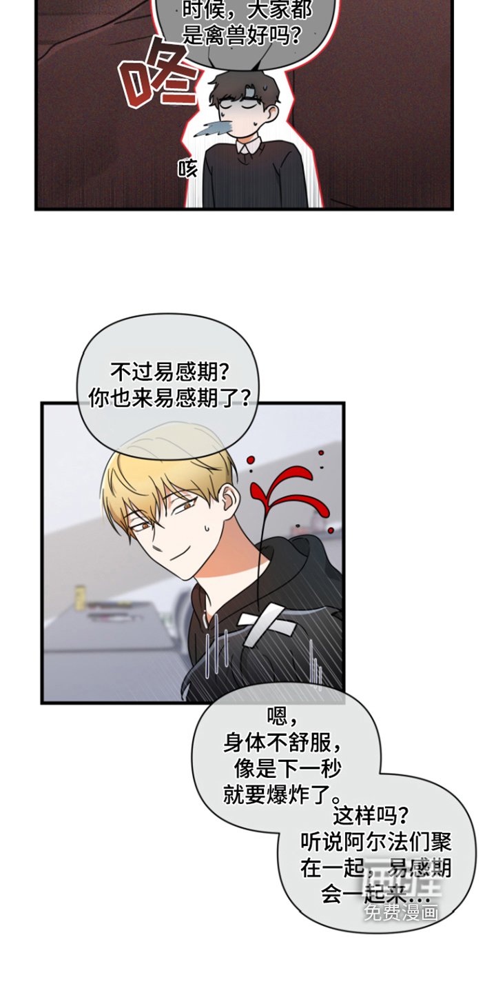 第5章：胡思乱想