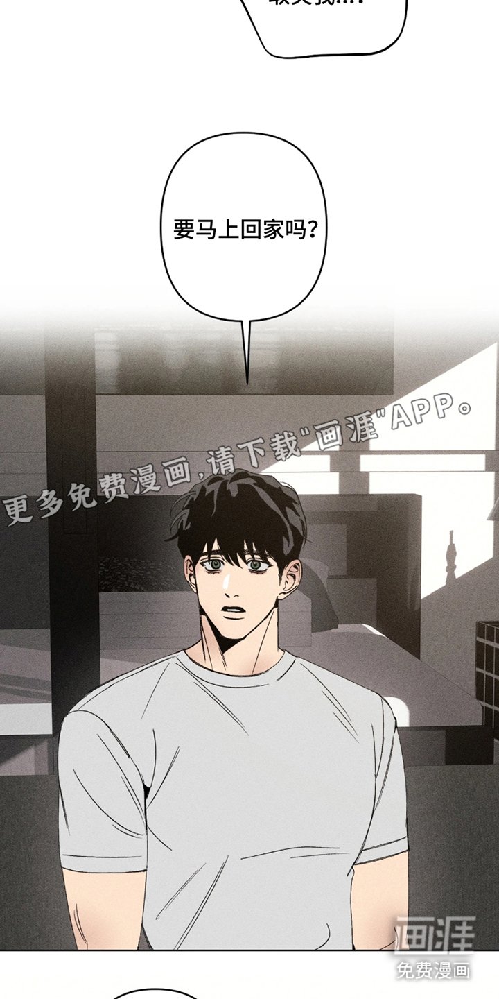 第5章：得马上回家