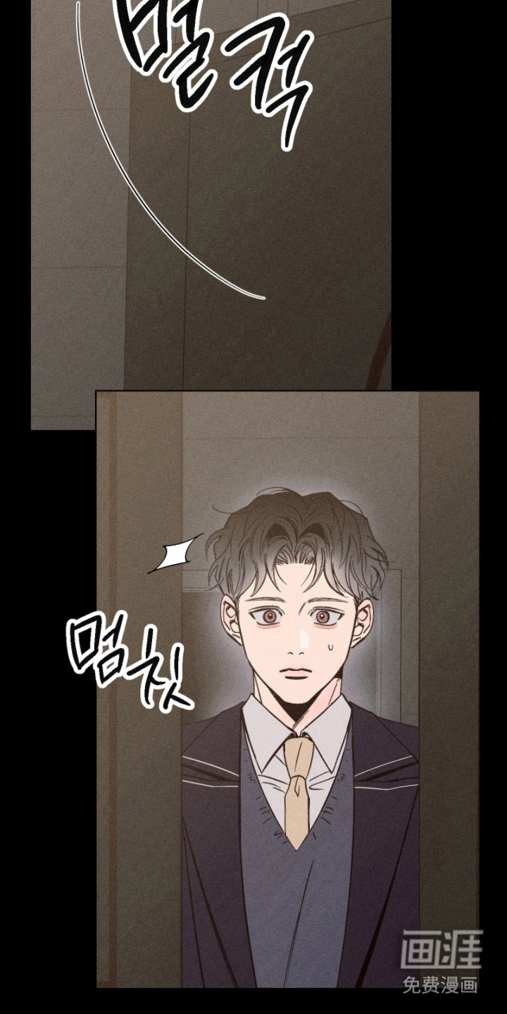 第6章：装什么