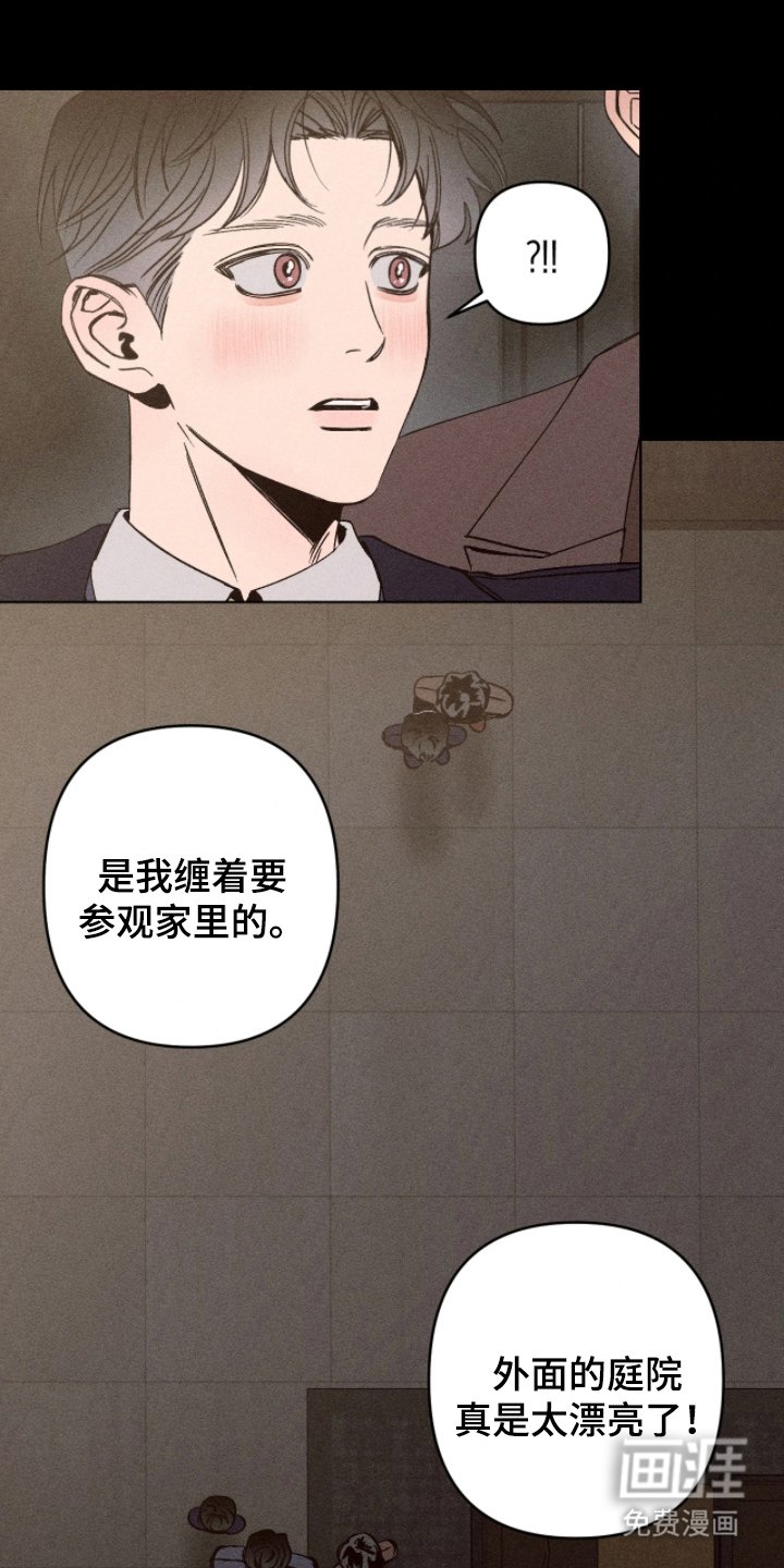 第6章：装什么