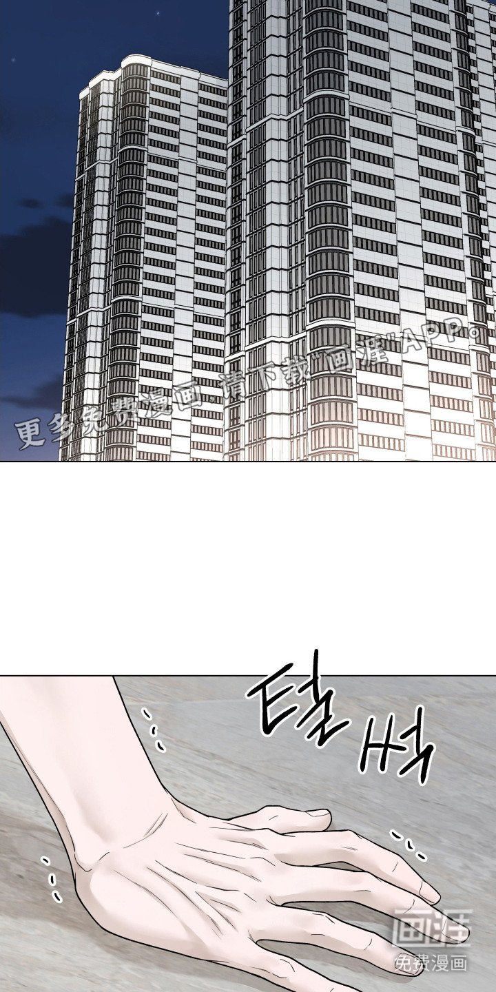 第11章：信息素