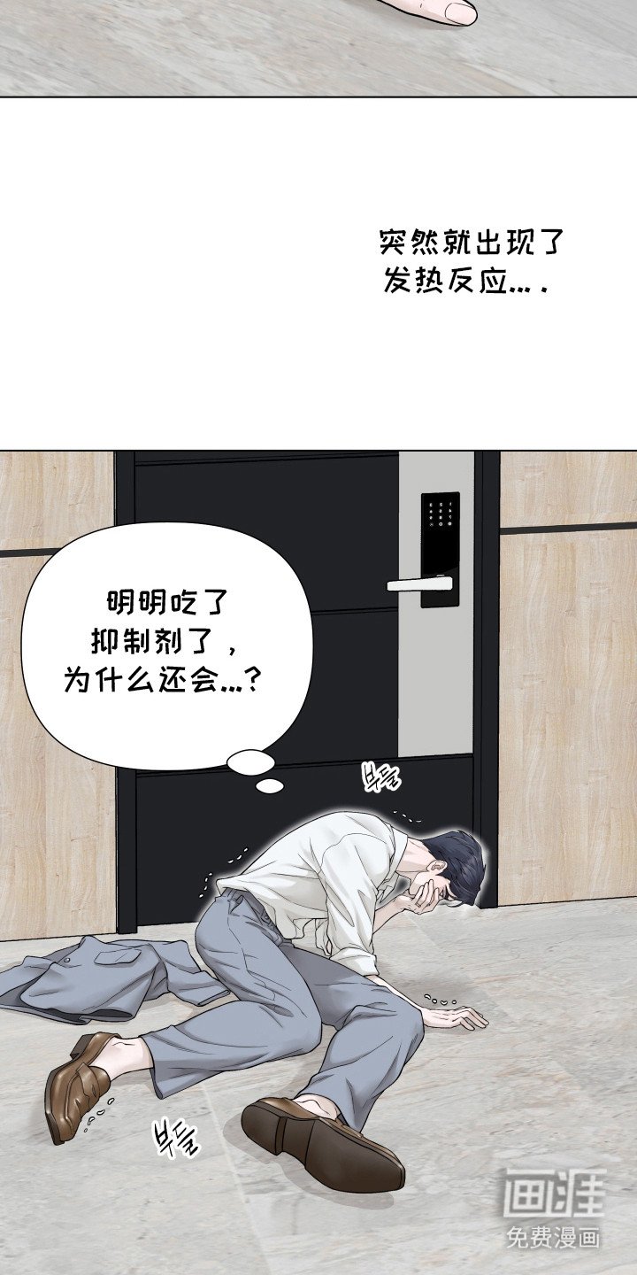 第11章：信息素