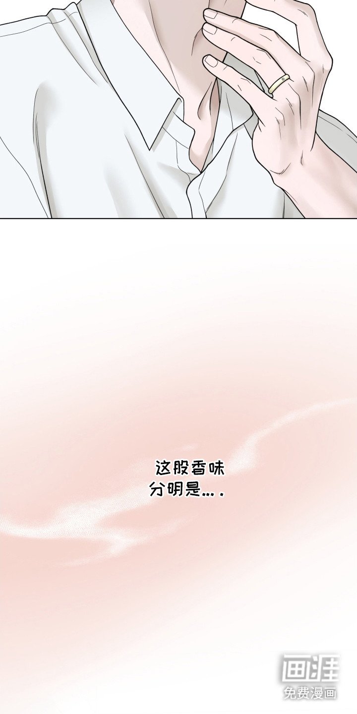 第11章：信息素