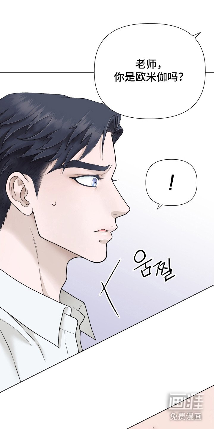第11章：信息素