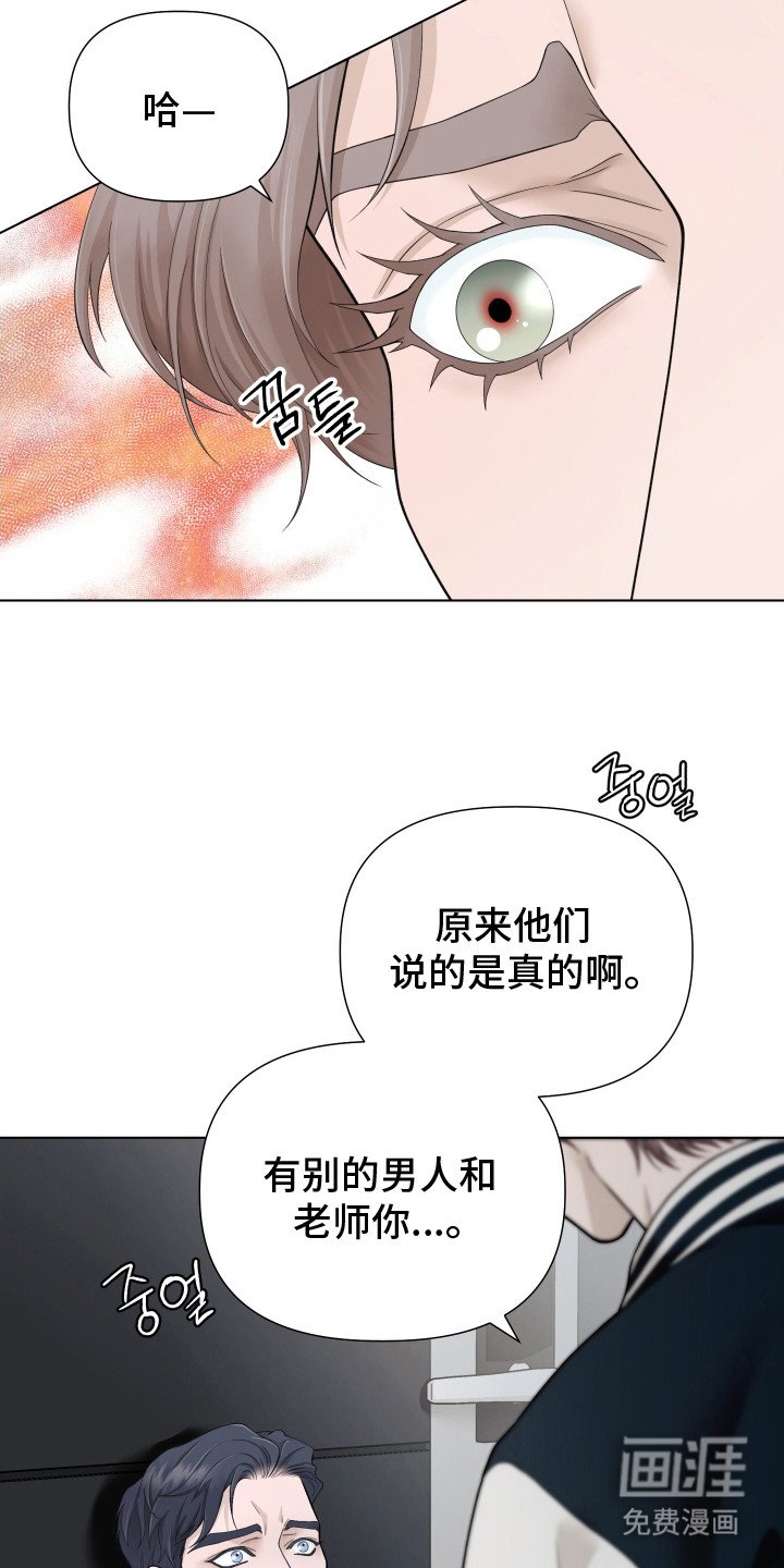 第11章：信息素