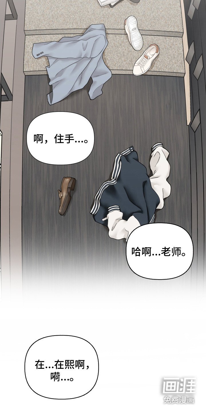 第11章：信息素