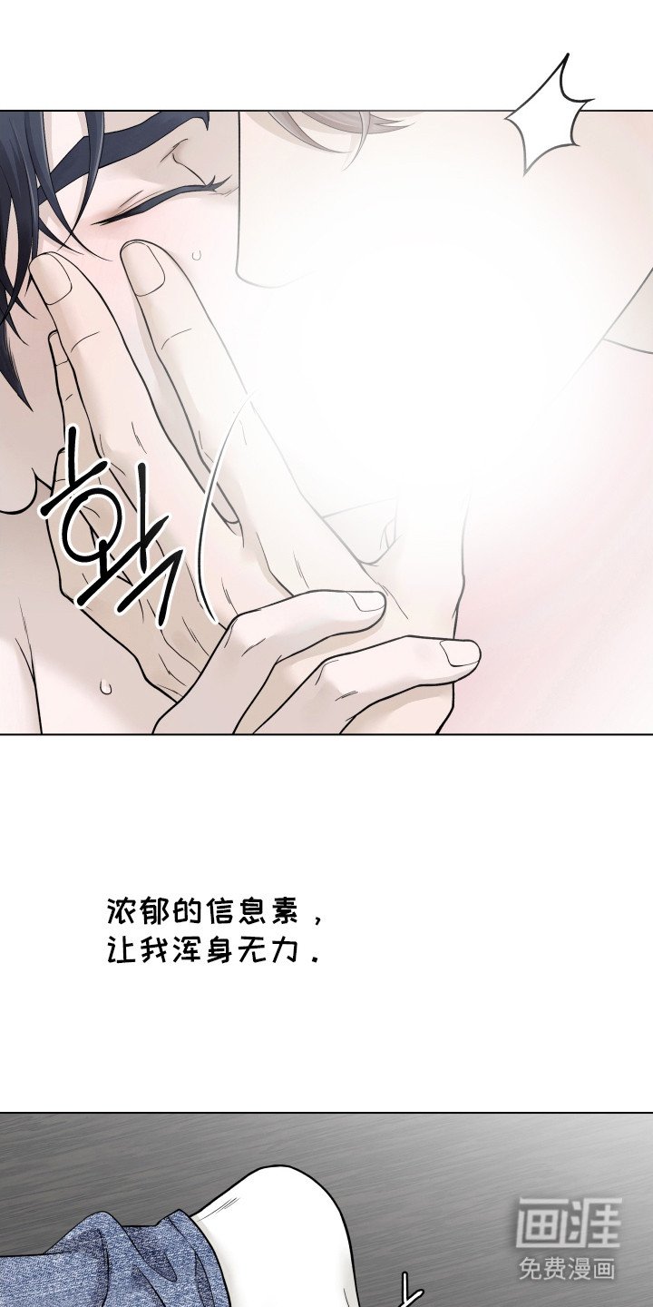 第11章：信息素