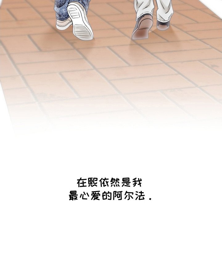 第13章：互相理解（完结）