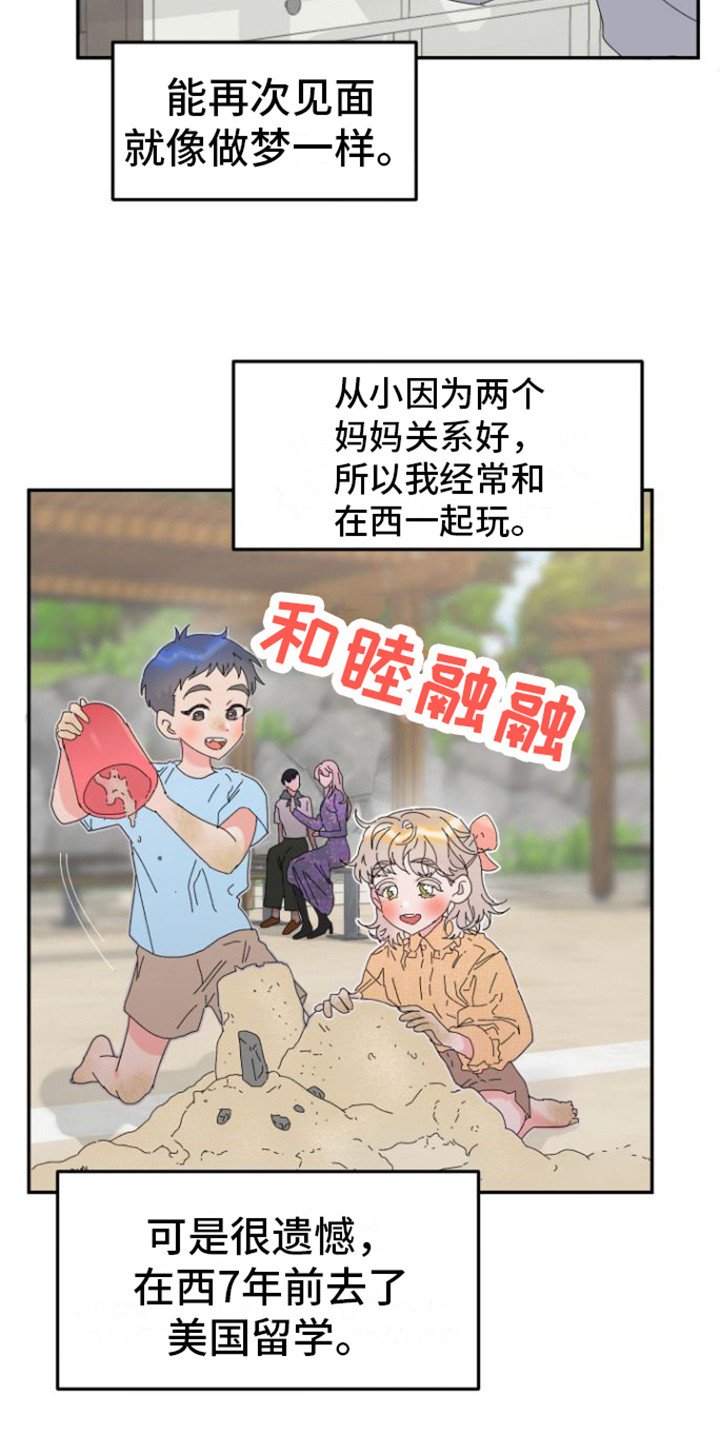 第1章：理想型