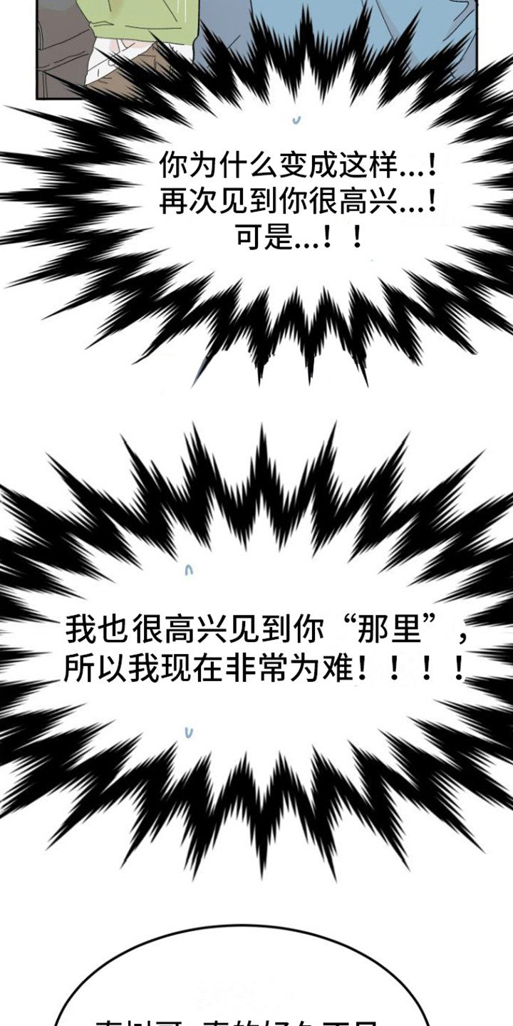 第1章：理想型
