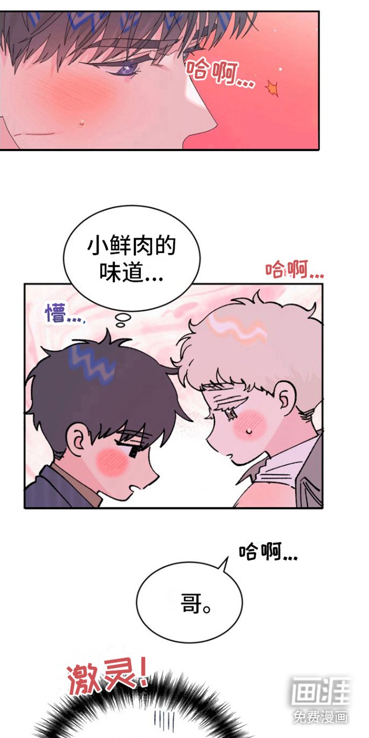 第11章：疼爱 