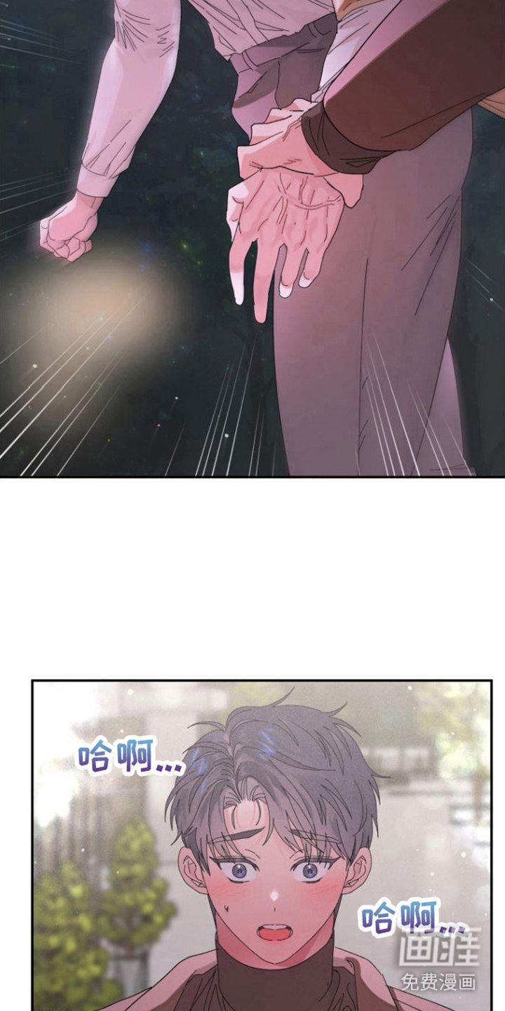 第19章：抓住