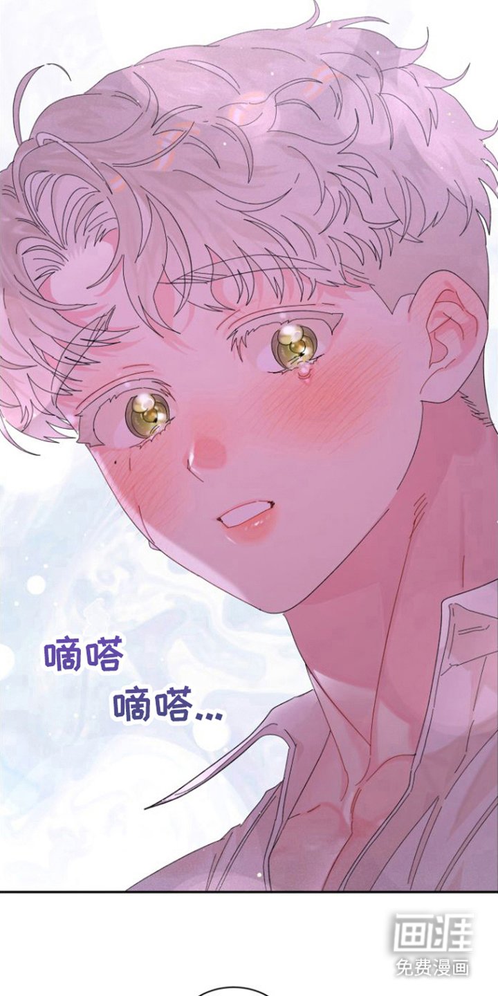 第19章：抓住