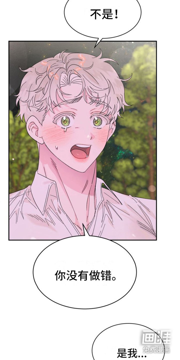 第20章：解释