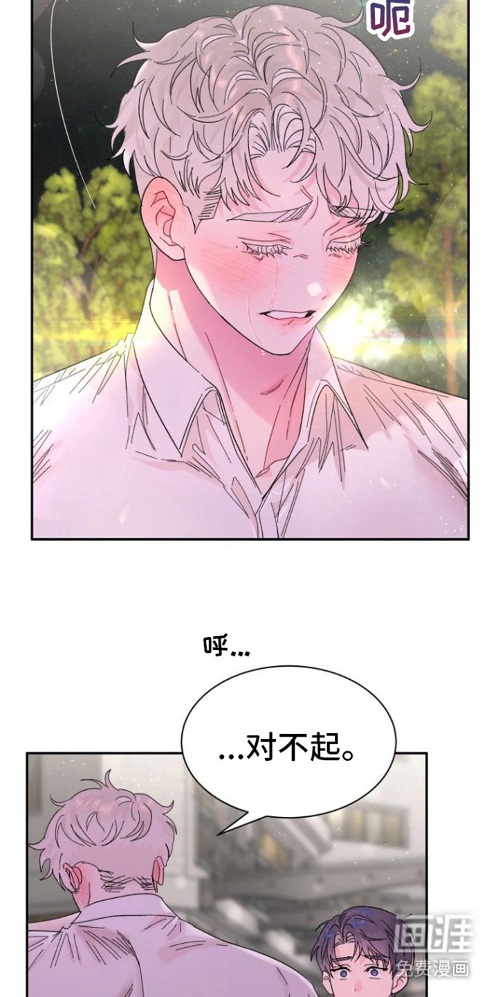 第20章：解释