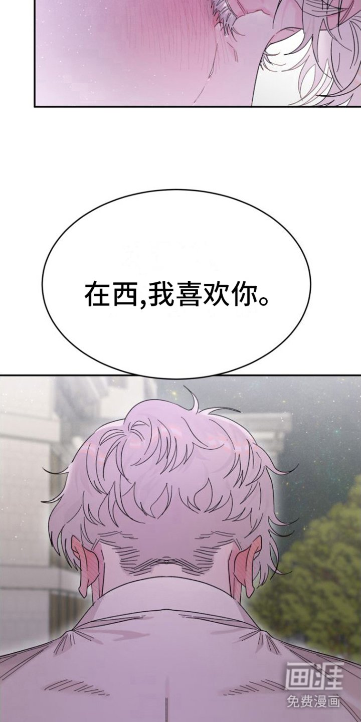 第20章：解释
