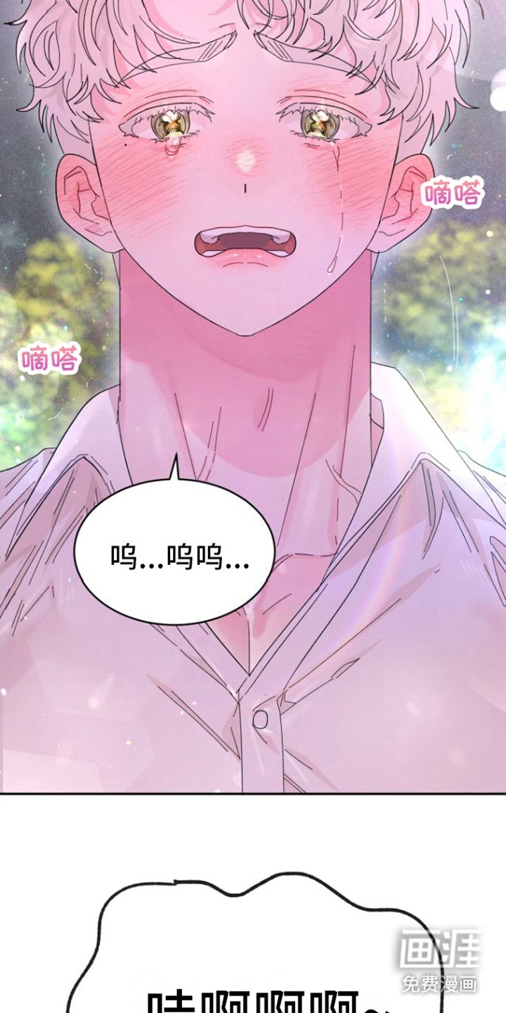 第20章：解释