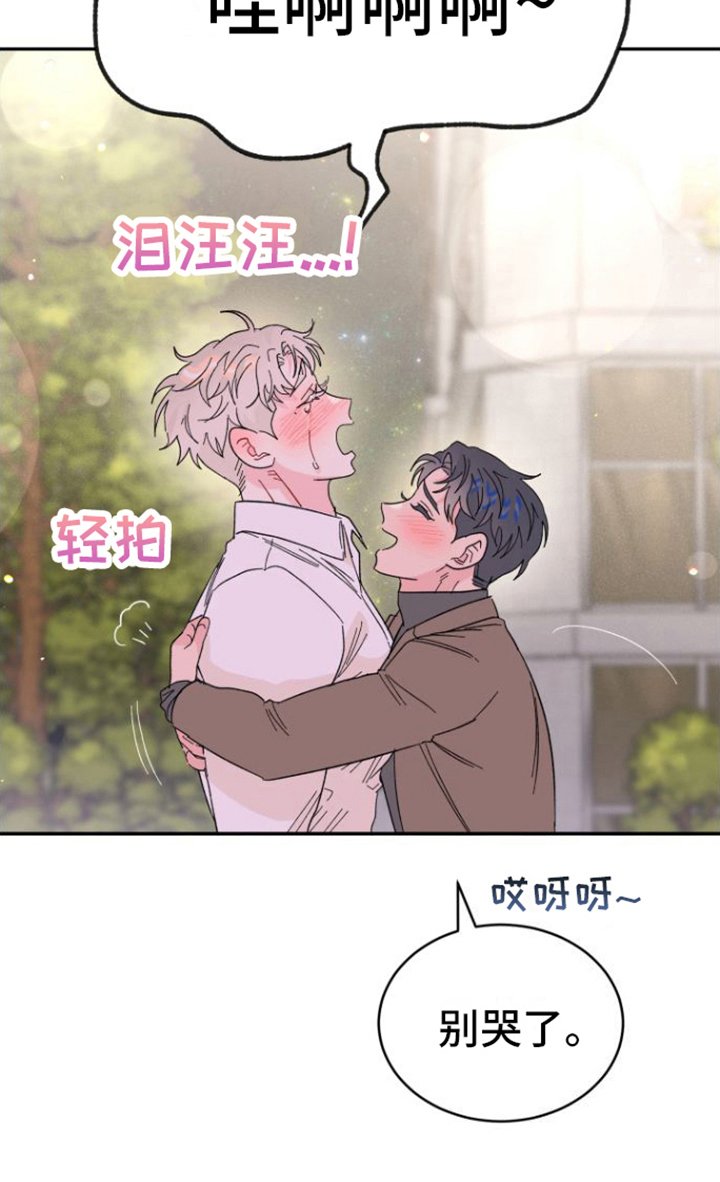 第20章：解释
