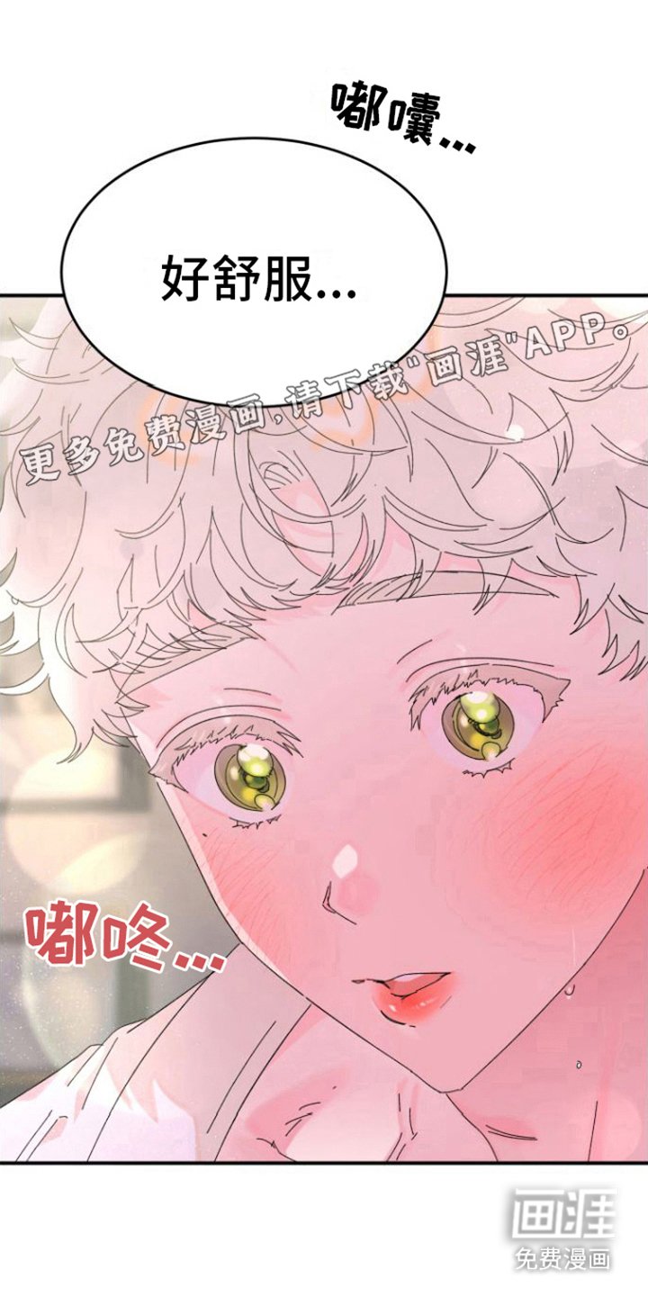 第5章：喜欢你