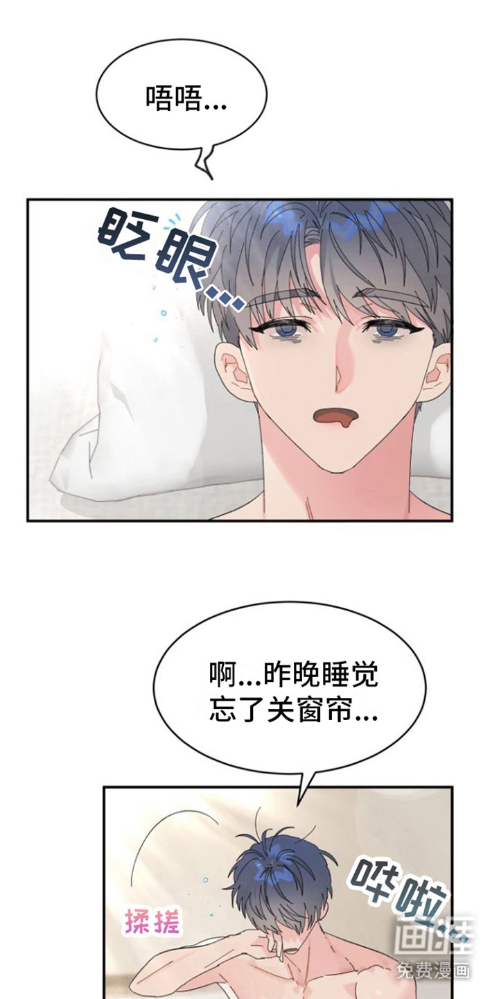 第5章：喜欢你