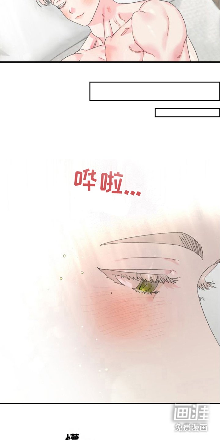第5章：喜欢你