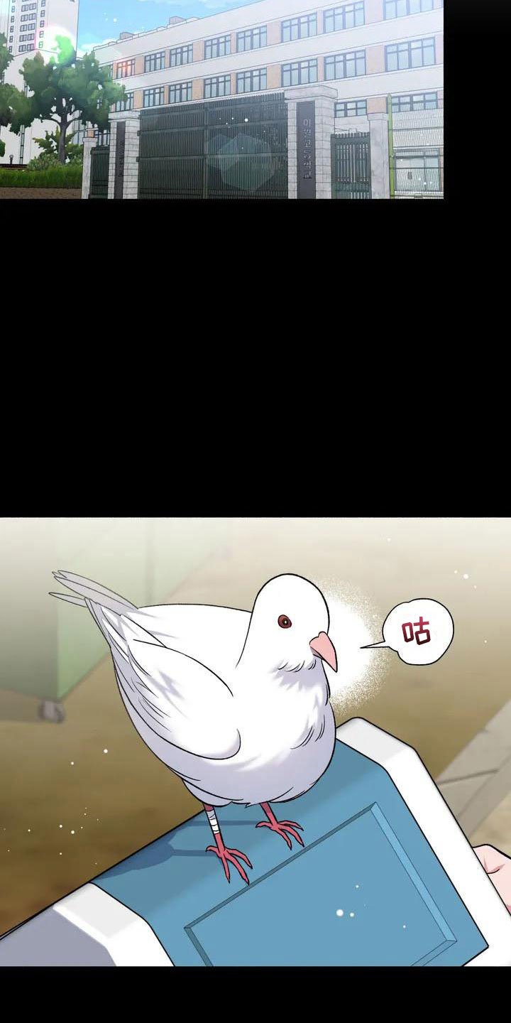 第1章：把我的正宇还给我：想结婚