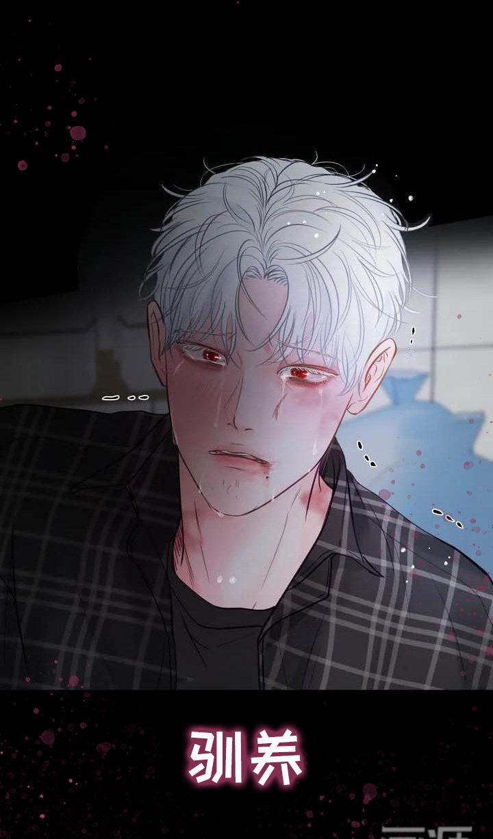 第14章：驯养：这里是地狱