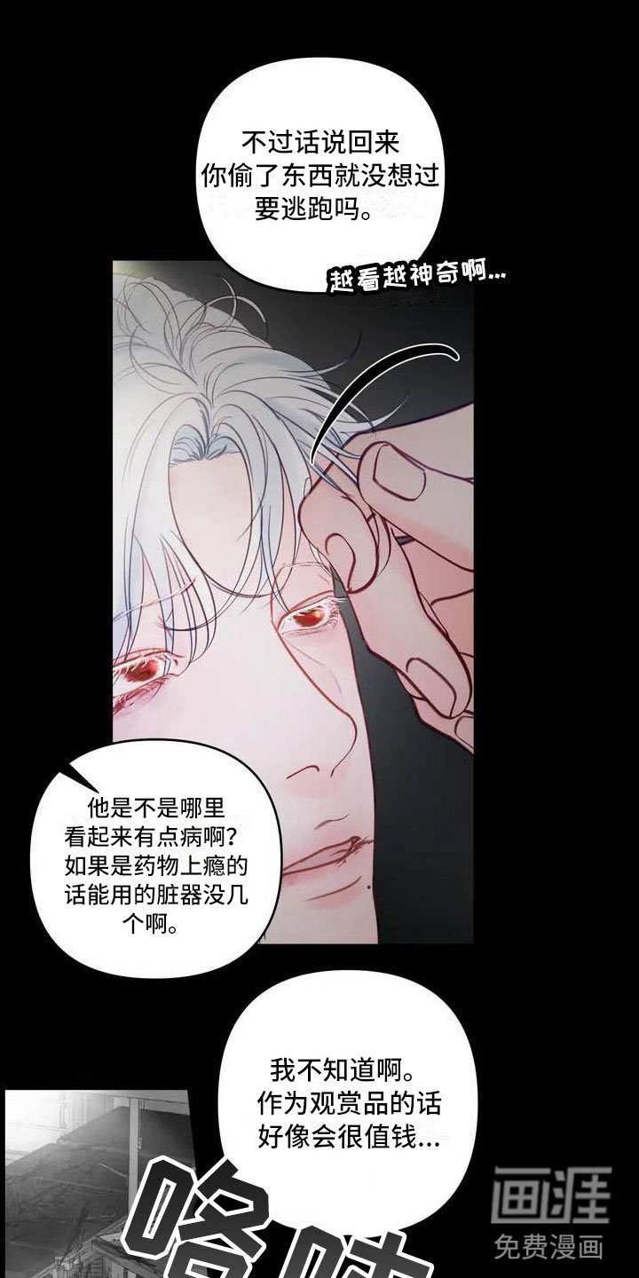 第15章：驯养：海伦