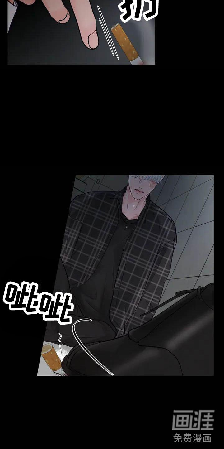 第16章：驯养：家畜