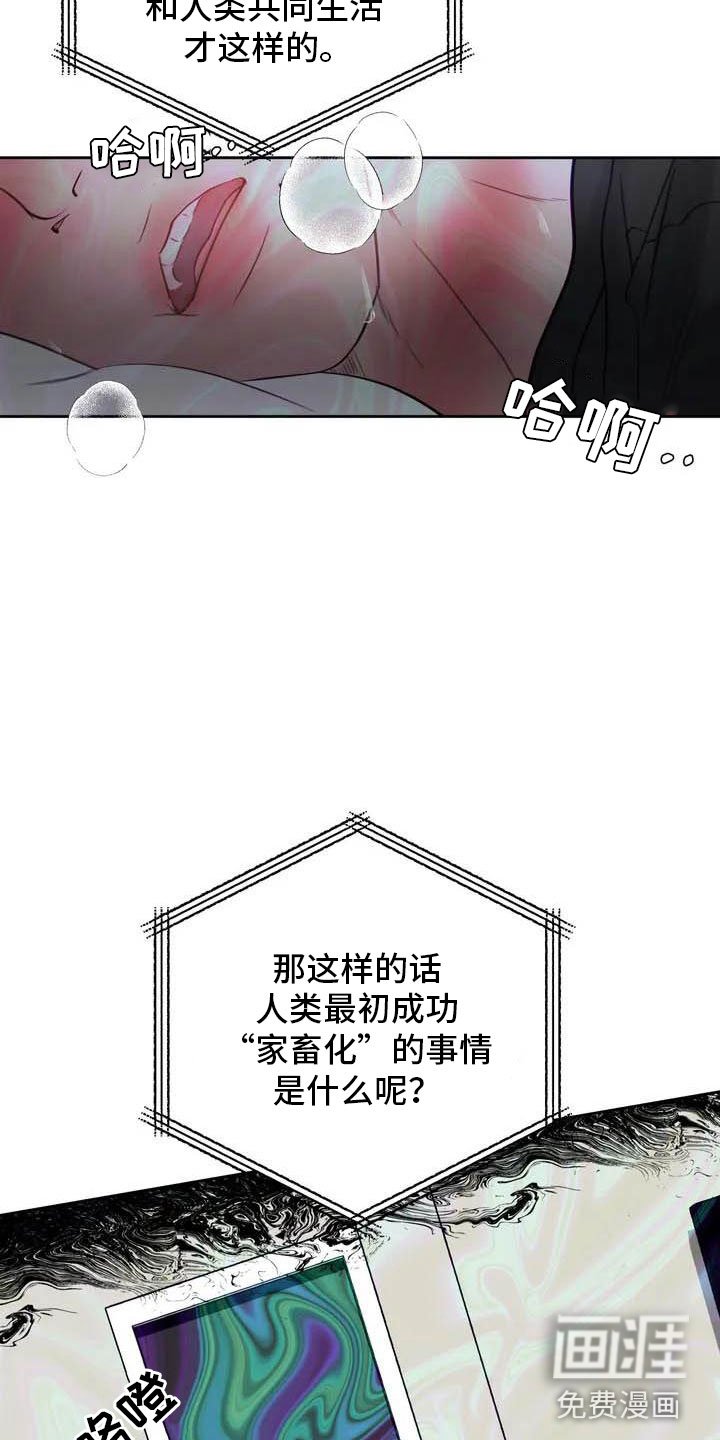 第16章：驯养：家畜