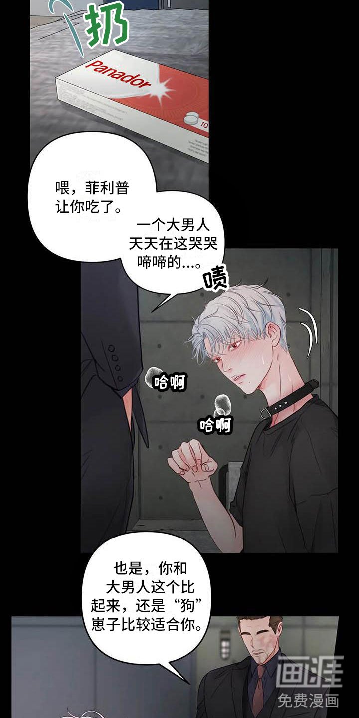 第18章：驯养：心爱的