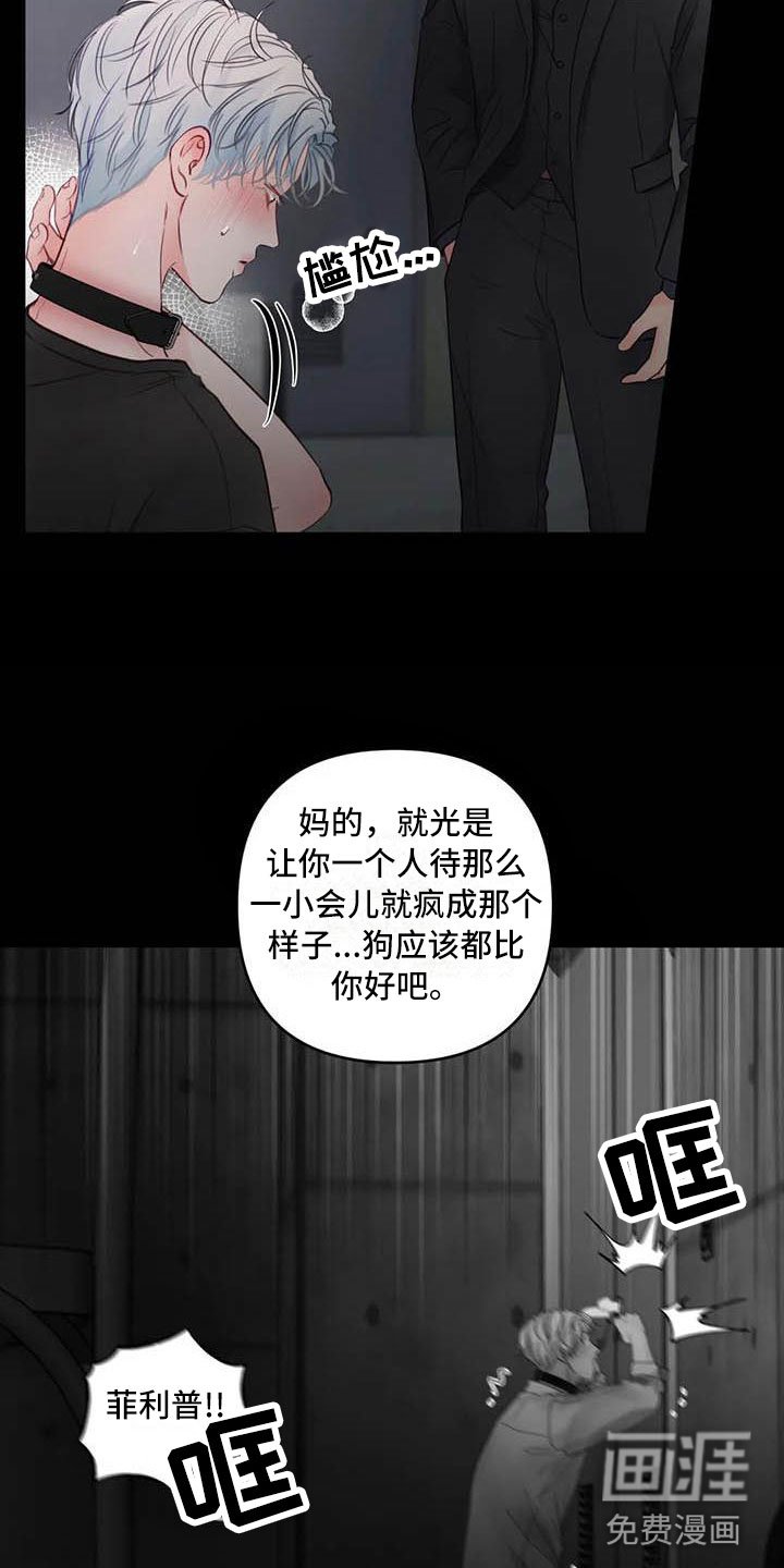 第18章：驯养：心爱的