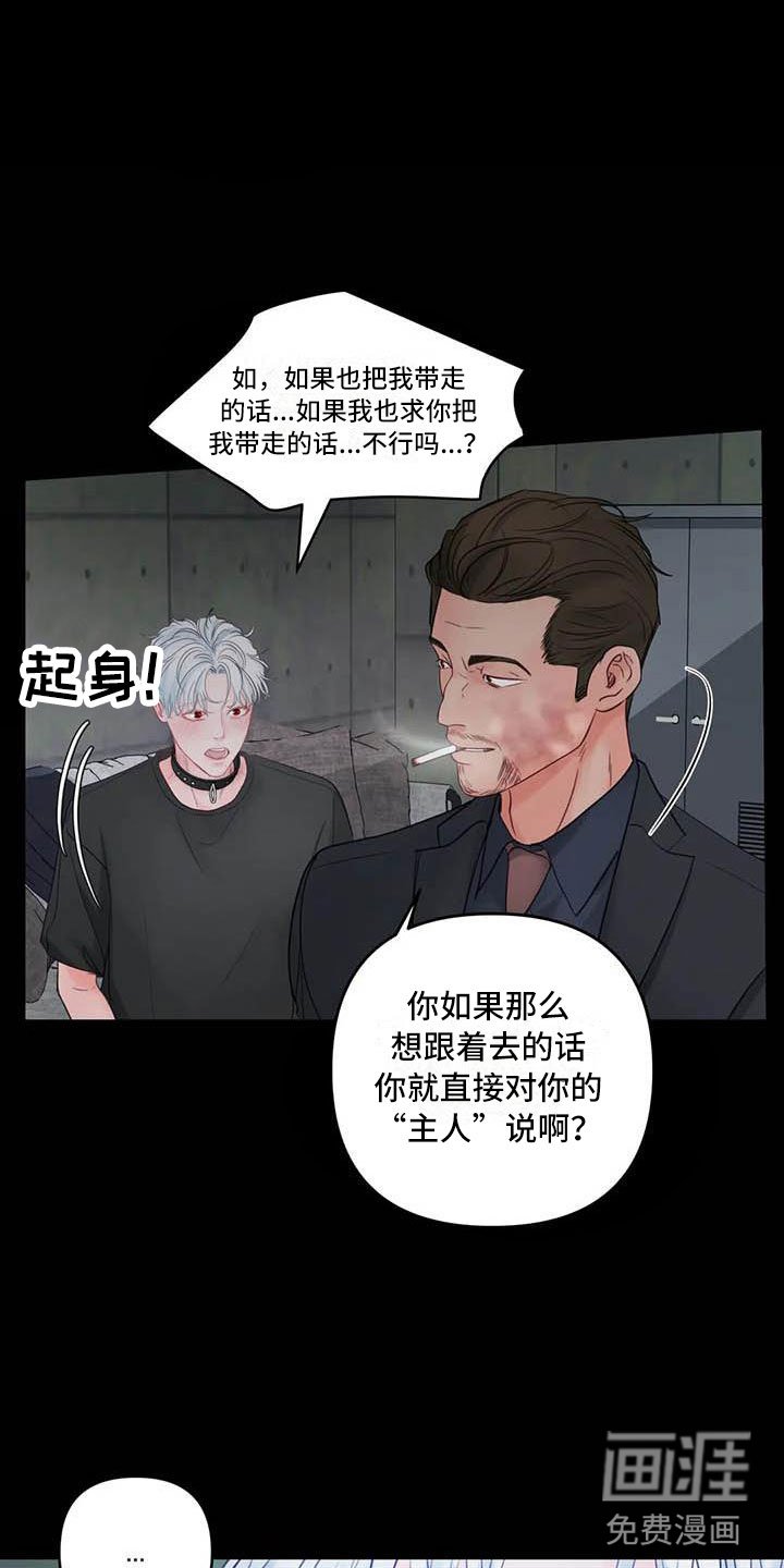 第18章：驯养：心爱的