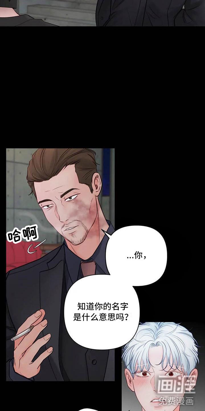第18章：驯养：心爱的