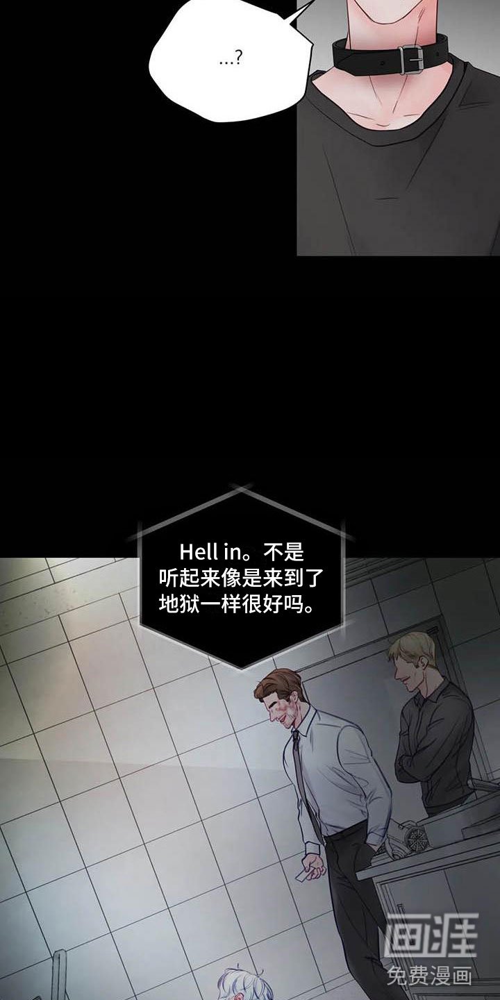 第18章：驯养：心爱的