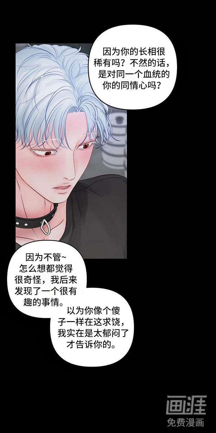 第18章：驯养：心爱的