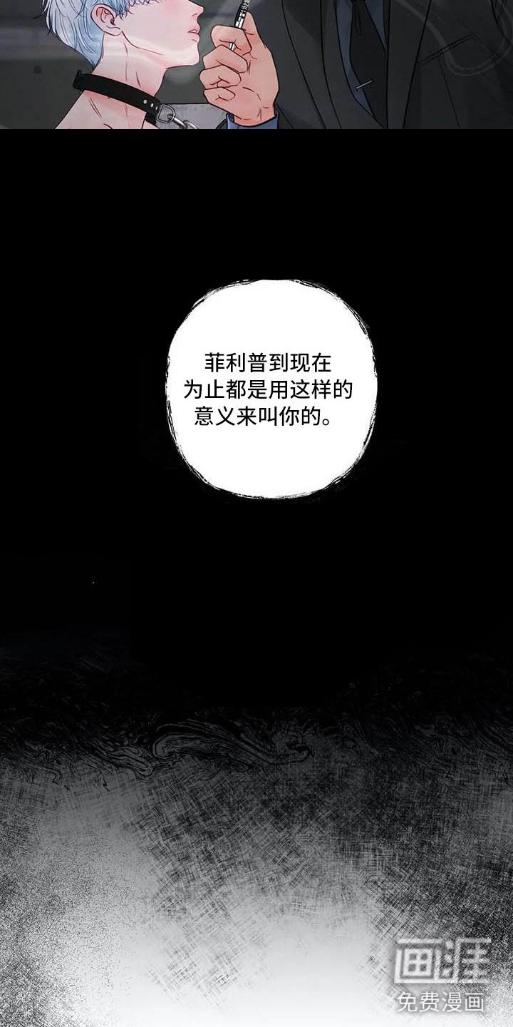 第18章：驯养：心爱的