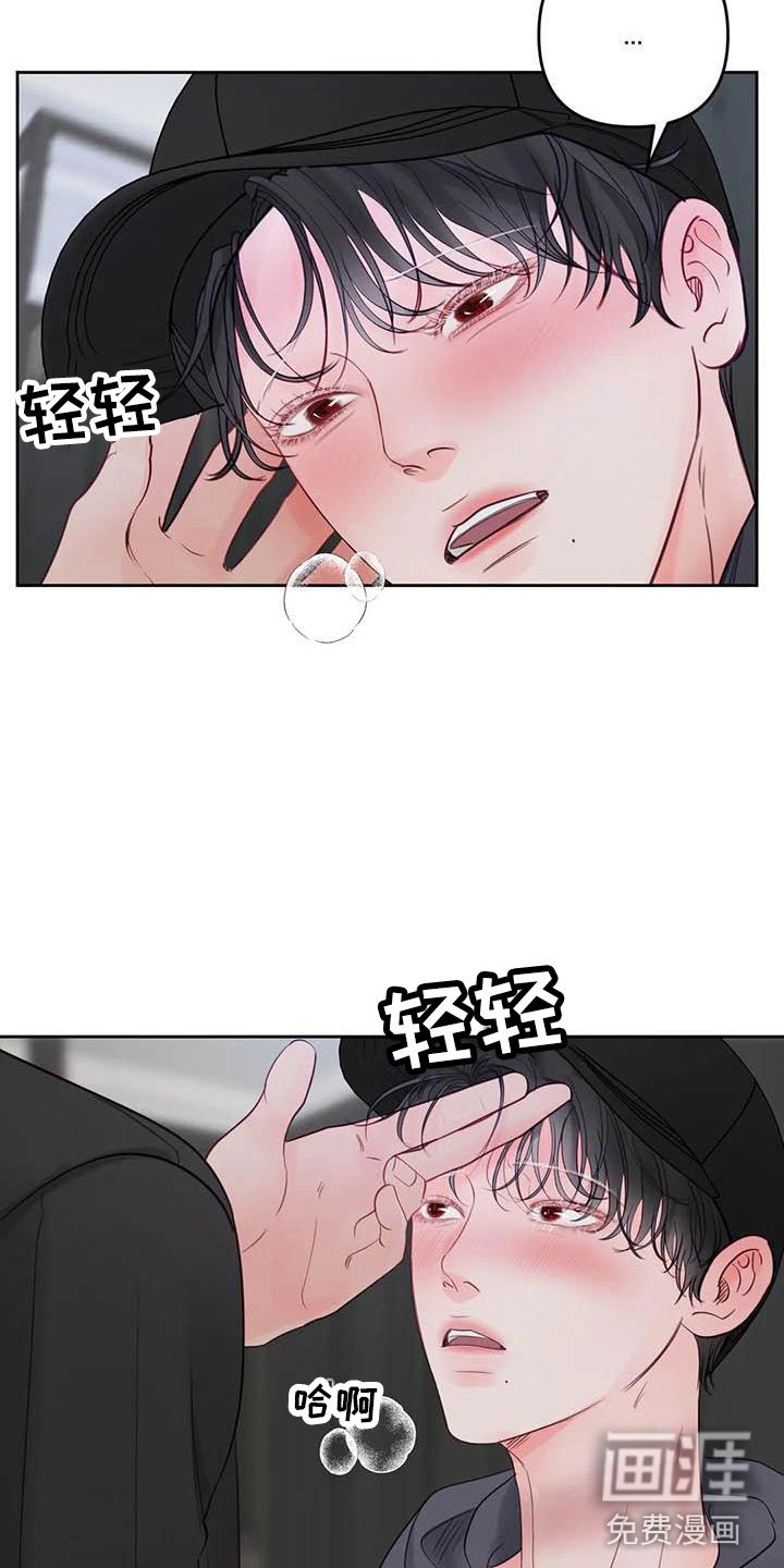 第19章：驯养：车上