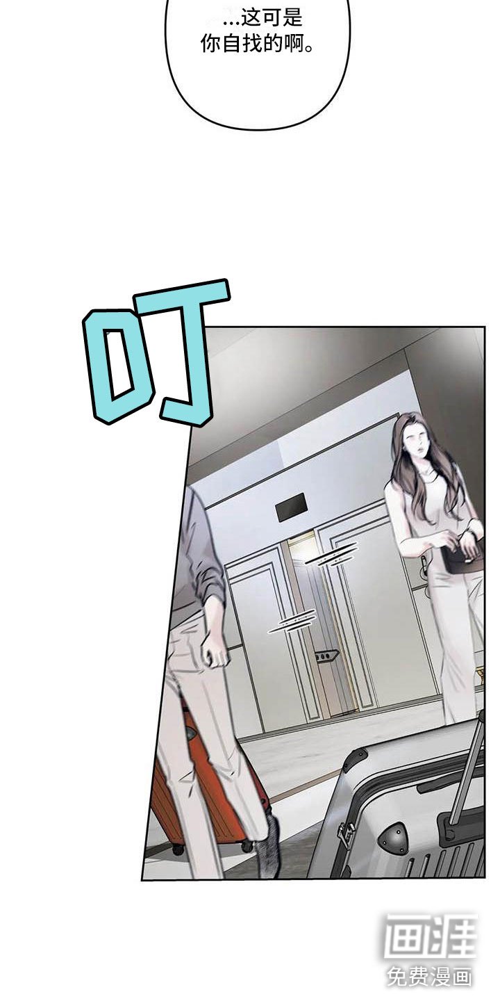 第19章：驯养：车上